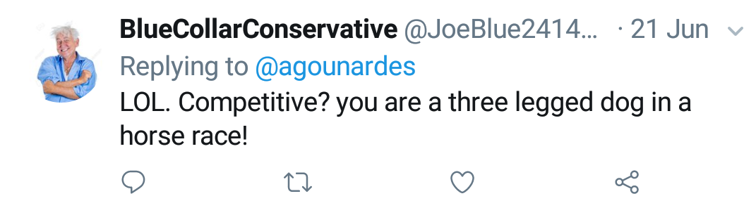 Blue Collar Conservative Tweeted: "LOL. Competitive? you are a three legged dog in a horse race!" replying to @agounardes